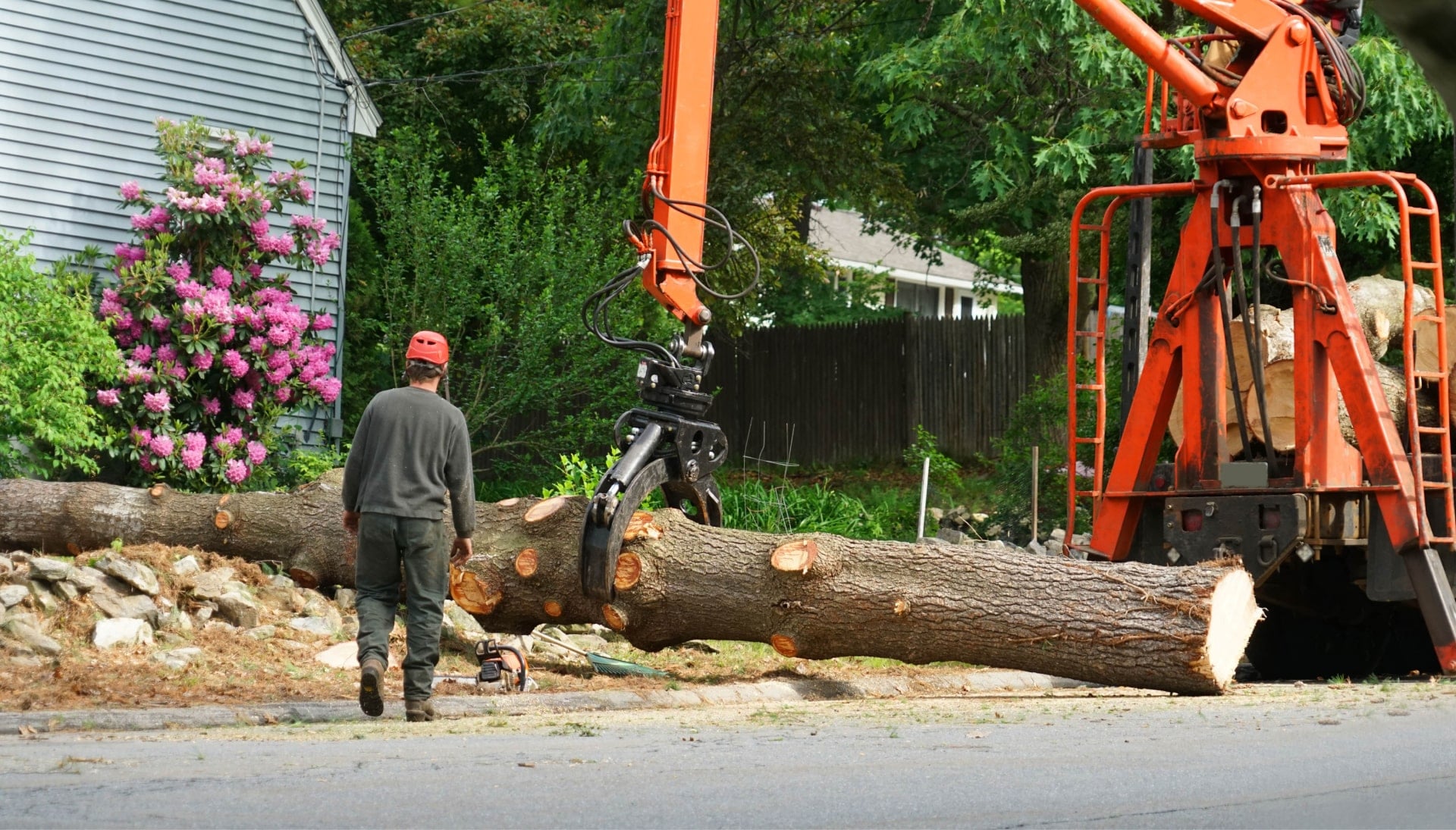 Local partner for Tree removal services in Livingston
